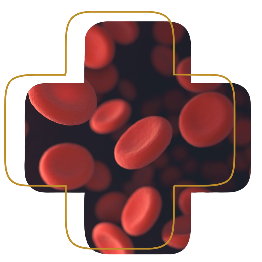Labs By Request Cross