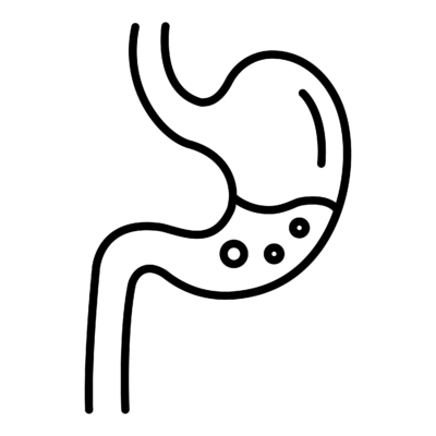 Icon for Gut Health