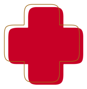 Labs By Request Icon Logo