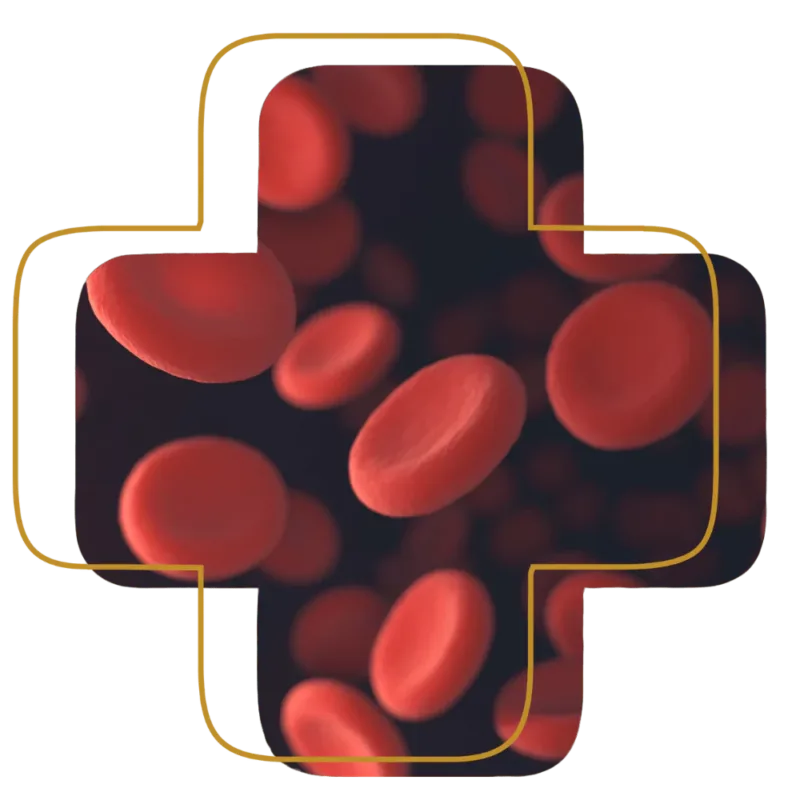 Labs By Request Cross